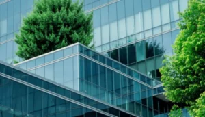 Building embraced by green